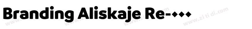 Branding Aliskaje Re字体转换
